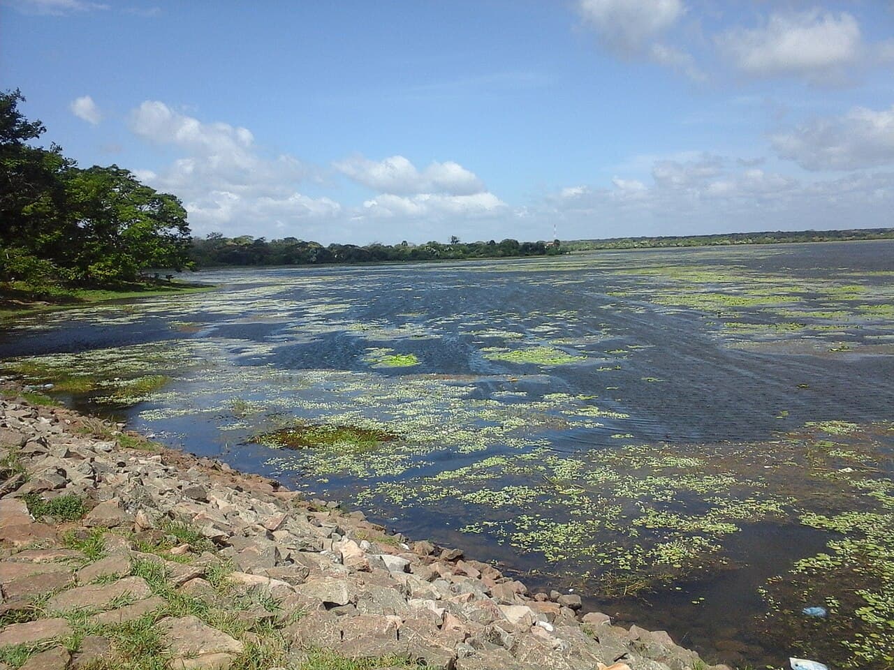 Open water of Abhaya Wewa, the 4th-century-BCE tank at Anuradhapura