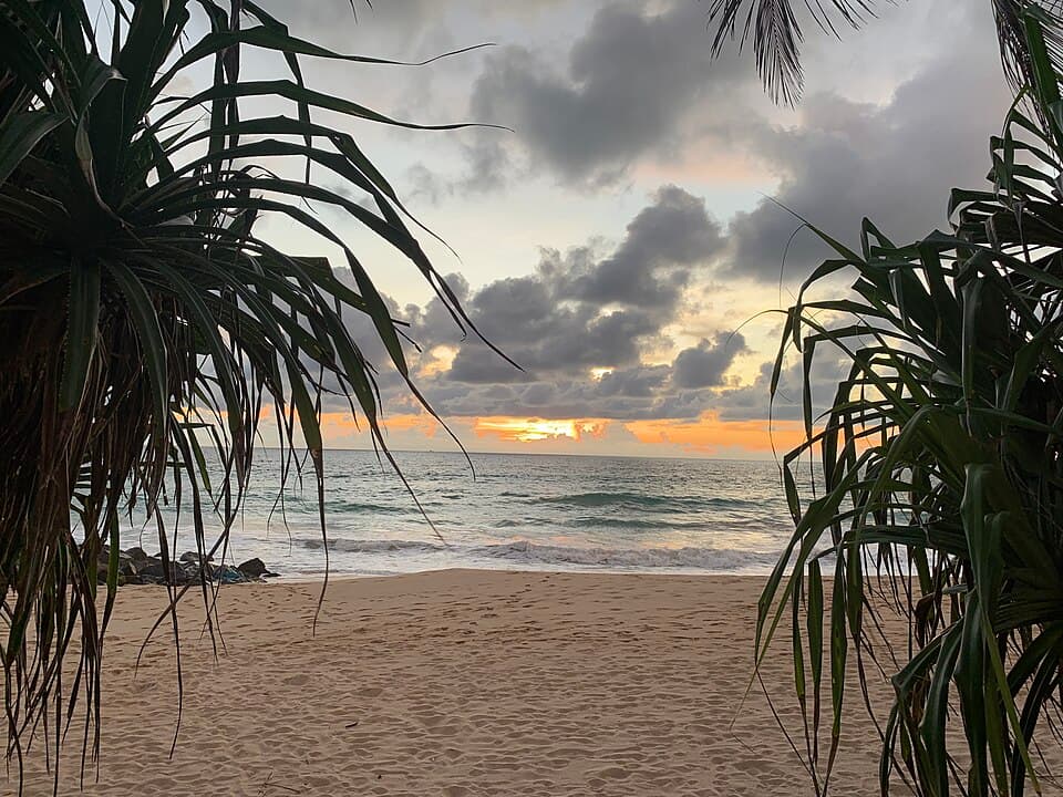 Sunset over the sea at Ambalangoda Beach, framed by pandanus