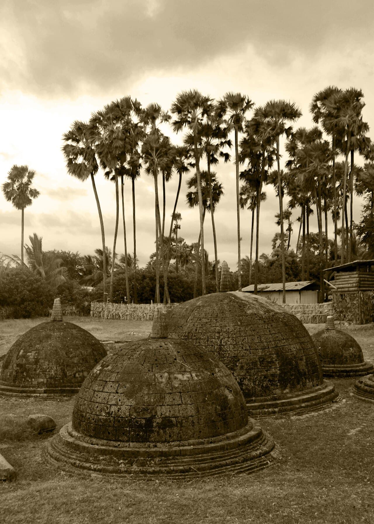 The small coral-stone stupas of Kadurugoda Viharaya at Kandarodai, Jaffna