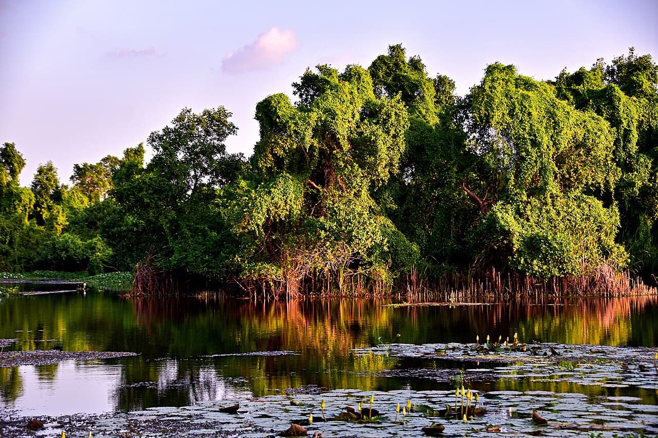The wetland and lagoon of the Kalametiya Bird Sanctuary at golden hour