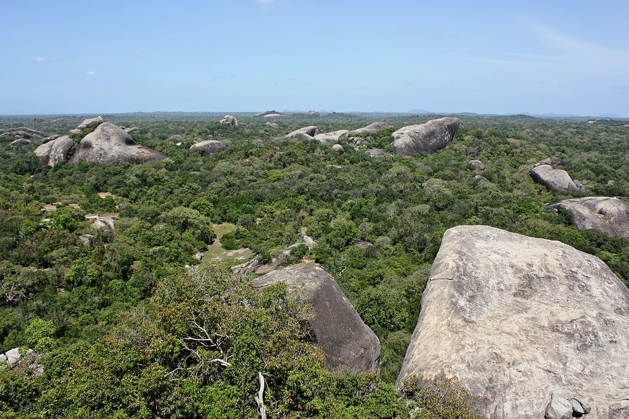 Waterbirds over the lagoons of Kumana National Park