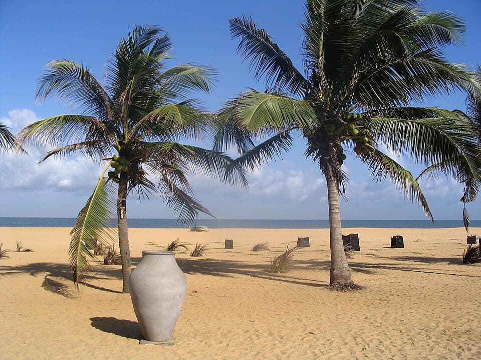 Palms on the wide sand of Negombo Beach, north of Negombo town