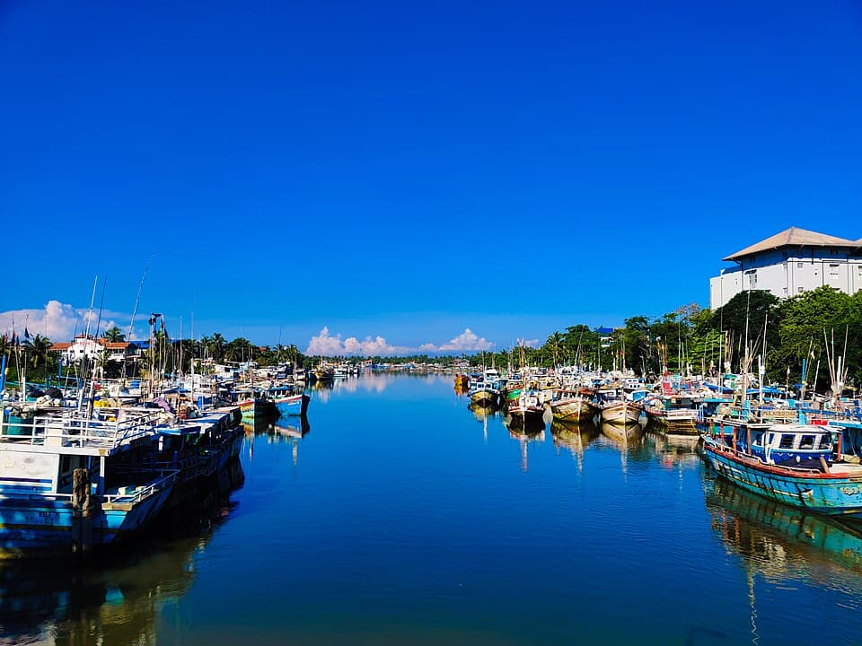 Fishing boats moored on Negombo Lagoon, the mangrove lagoon south of Negombo