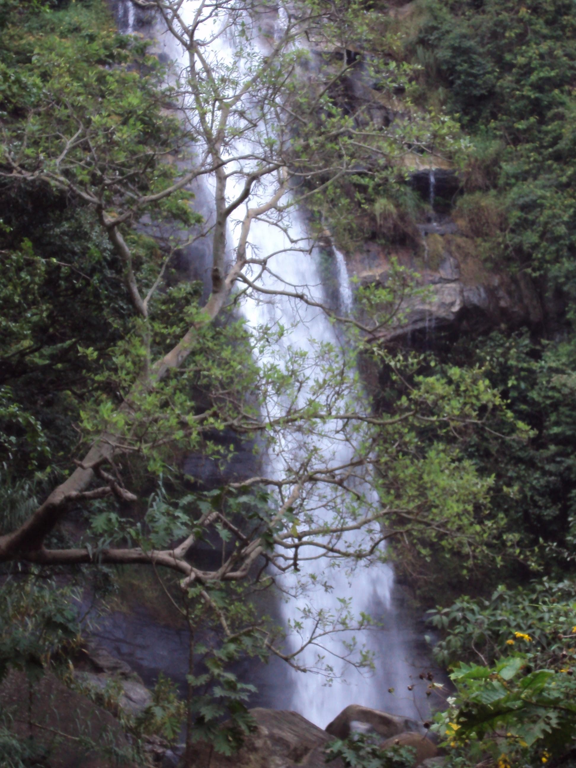 Rawan Ella's 40-meter horsetail drop through forest near Uduhawara