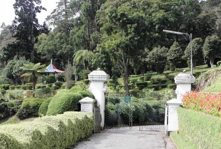 Hakgala Botanical Garden, showcasing a variety of plant species