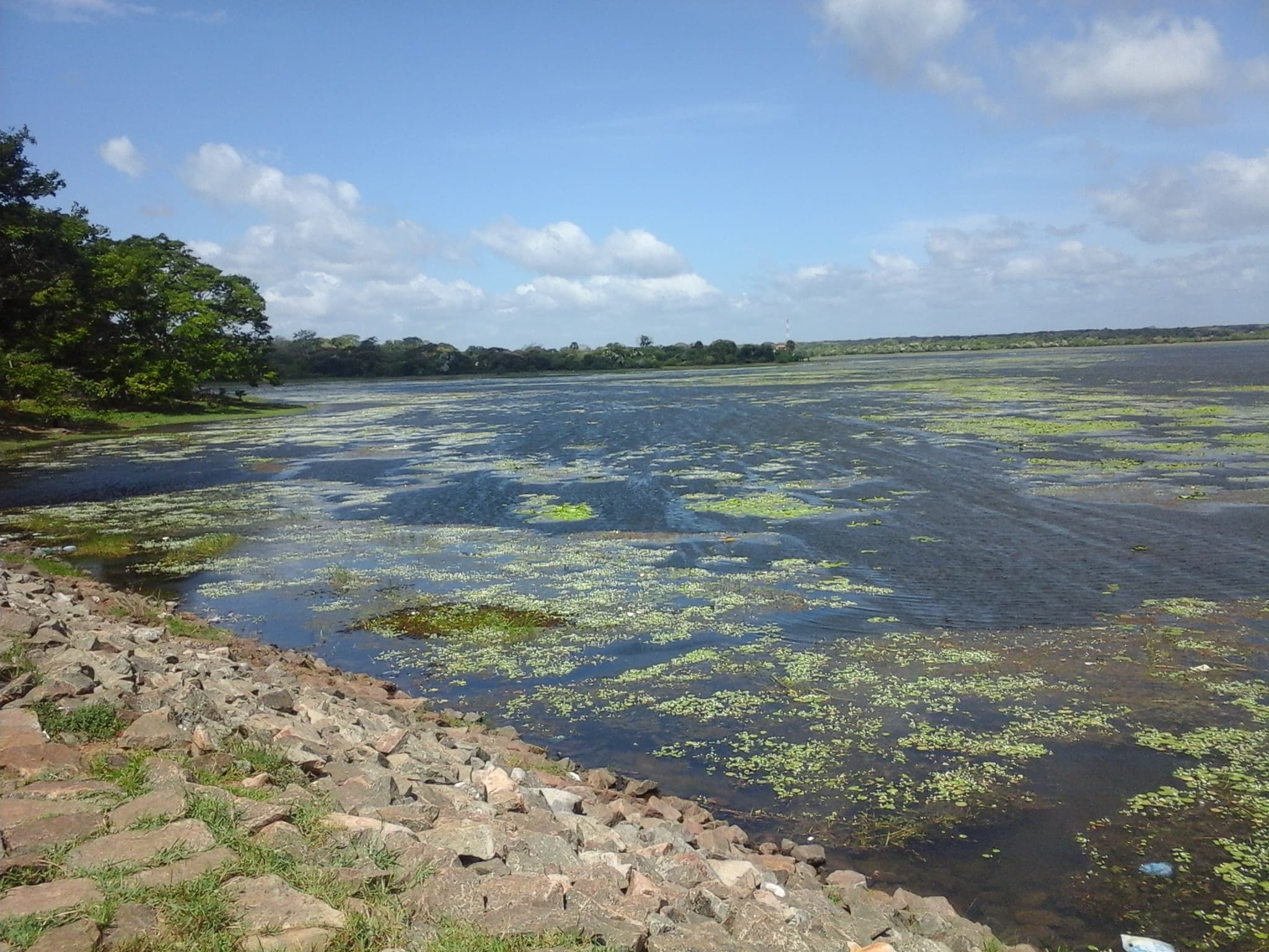 Open water of Abhaya Wewa, the 4th-century-BCE tank at Anuradhapura