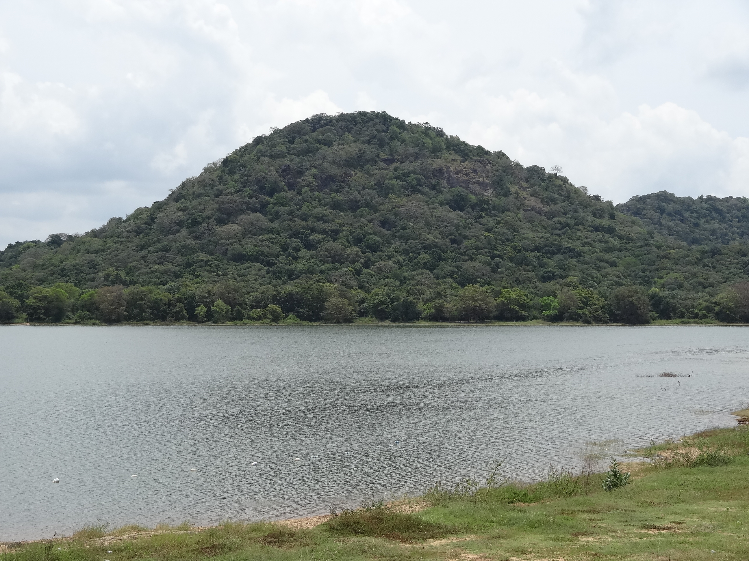 The open water and grass shores of Minneriya Tank inside the national park