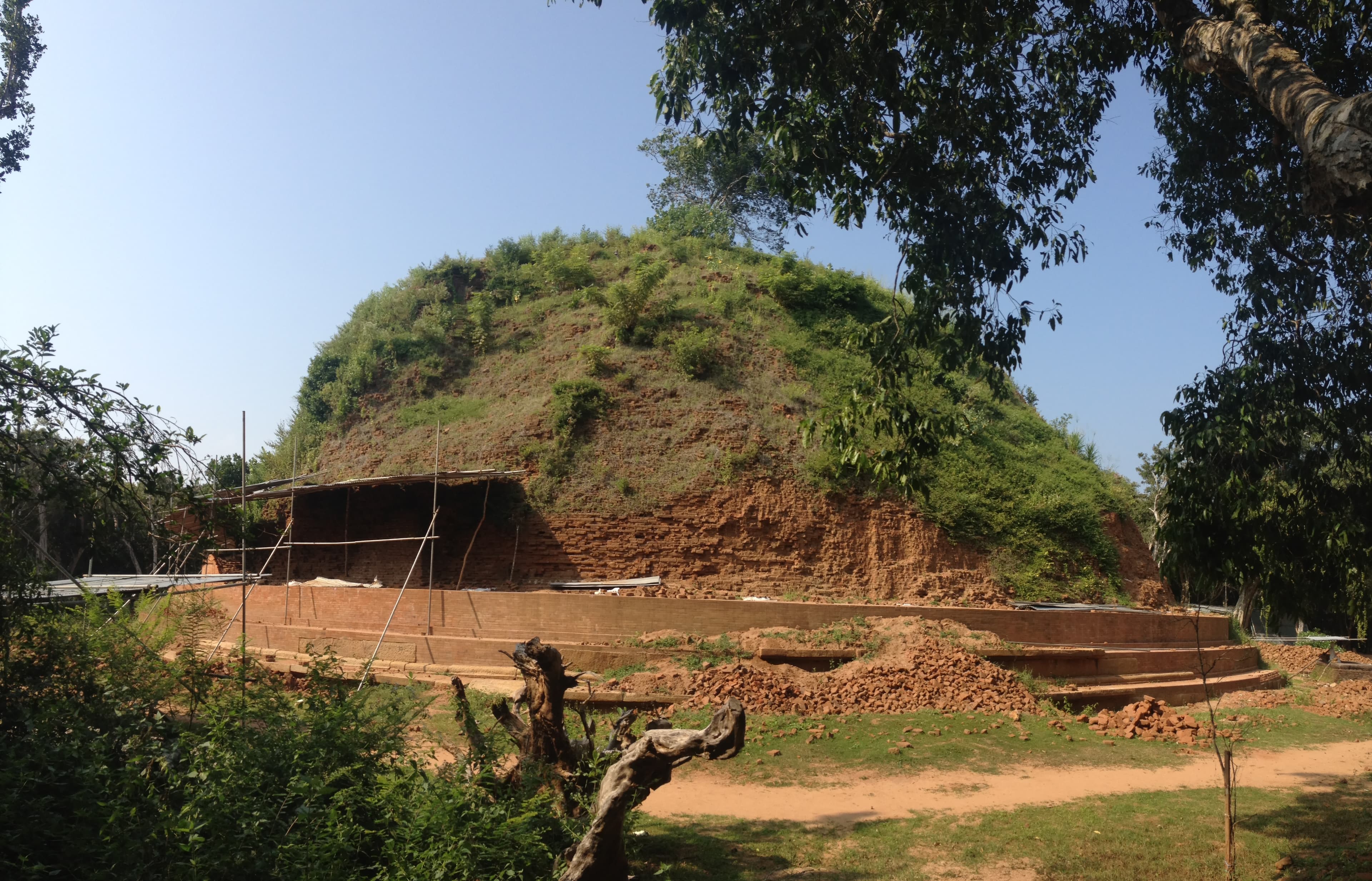 The brick dome of Neelagiri Seya stupa in the Lahugala jungle