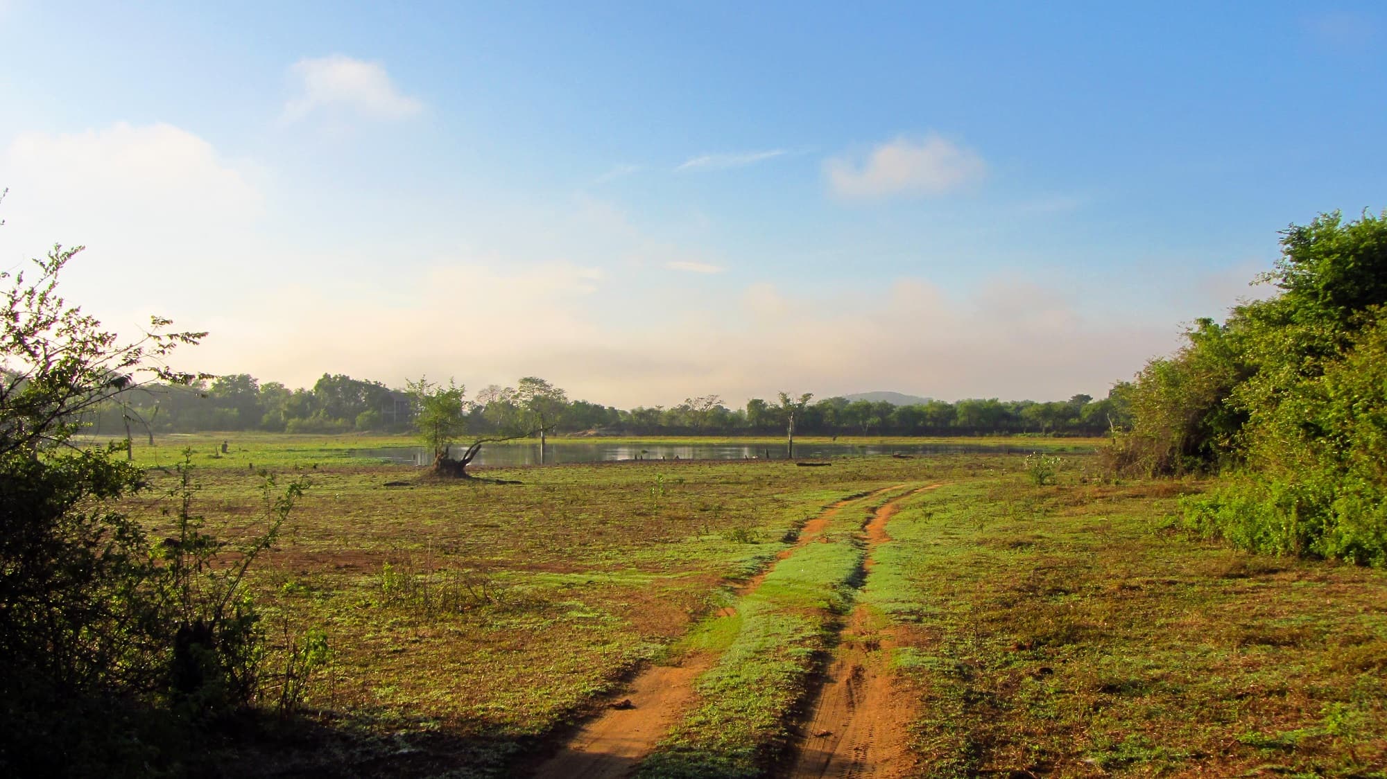 Wasgamuwa National Park, a wildlife park in Matale