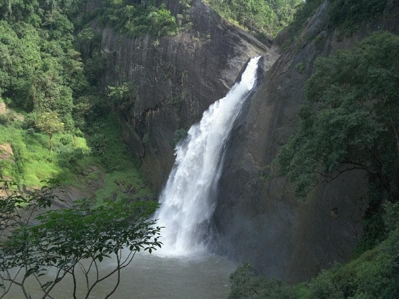 Dunhinda Falls dropping into its plunge pool near Badulla