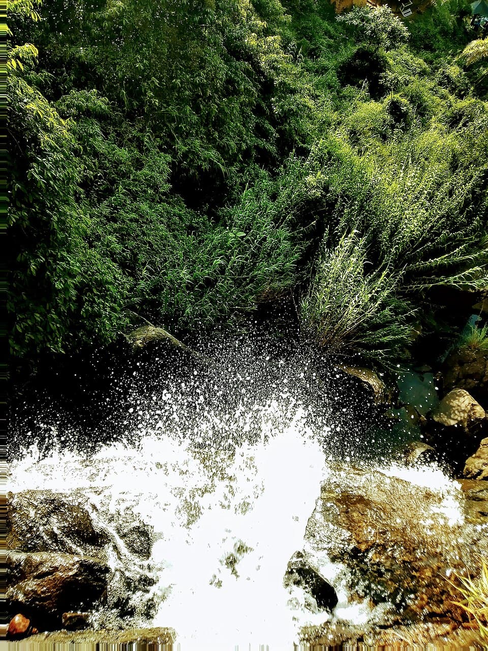 Hunnas Falls, a 48-meter waterfall at Elkaduwa