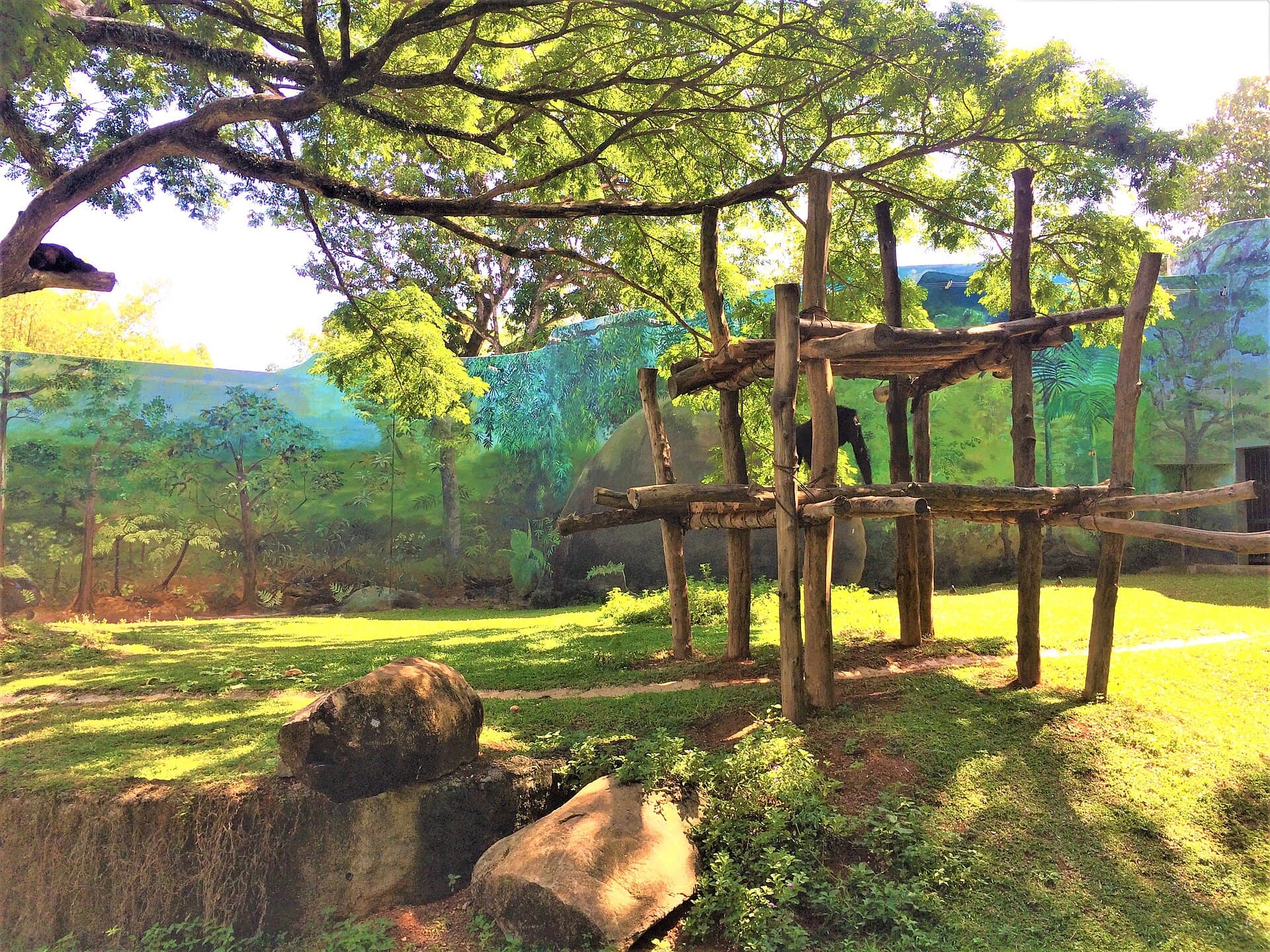 A landscaped animal enclosure at the National Zoological Gardens in Dehiwala