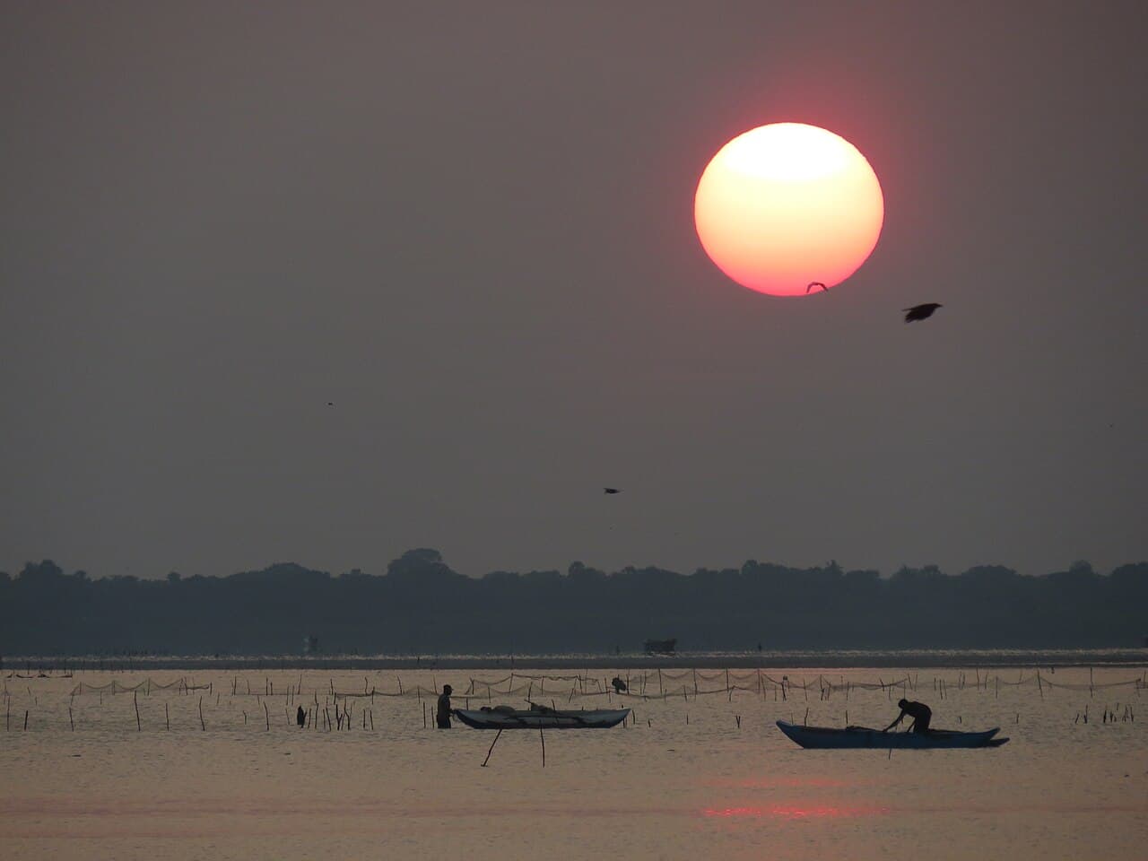 Sunset over Kokkilai lagoon with fishermen in outrigger canoes