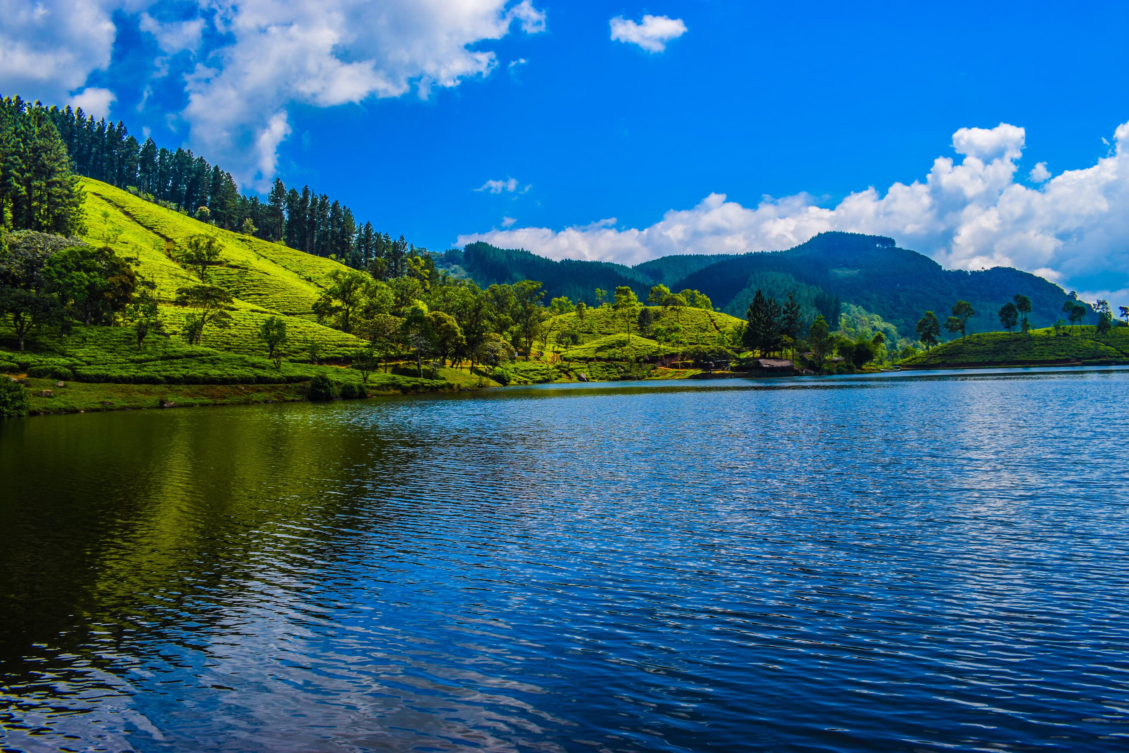 Sembuwatta Lake ringed by forest near Elkaduwa
