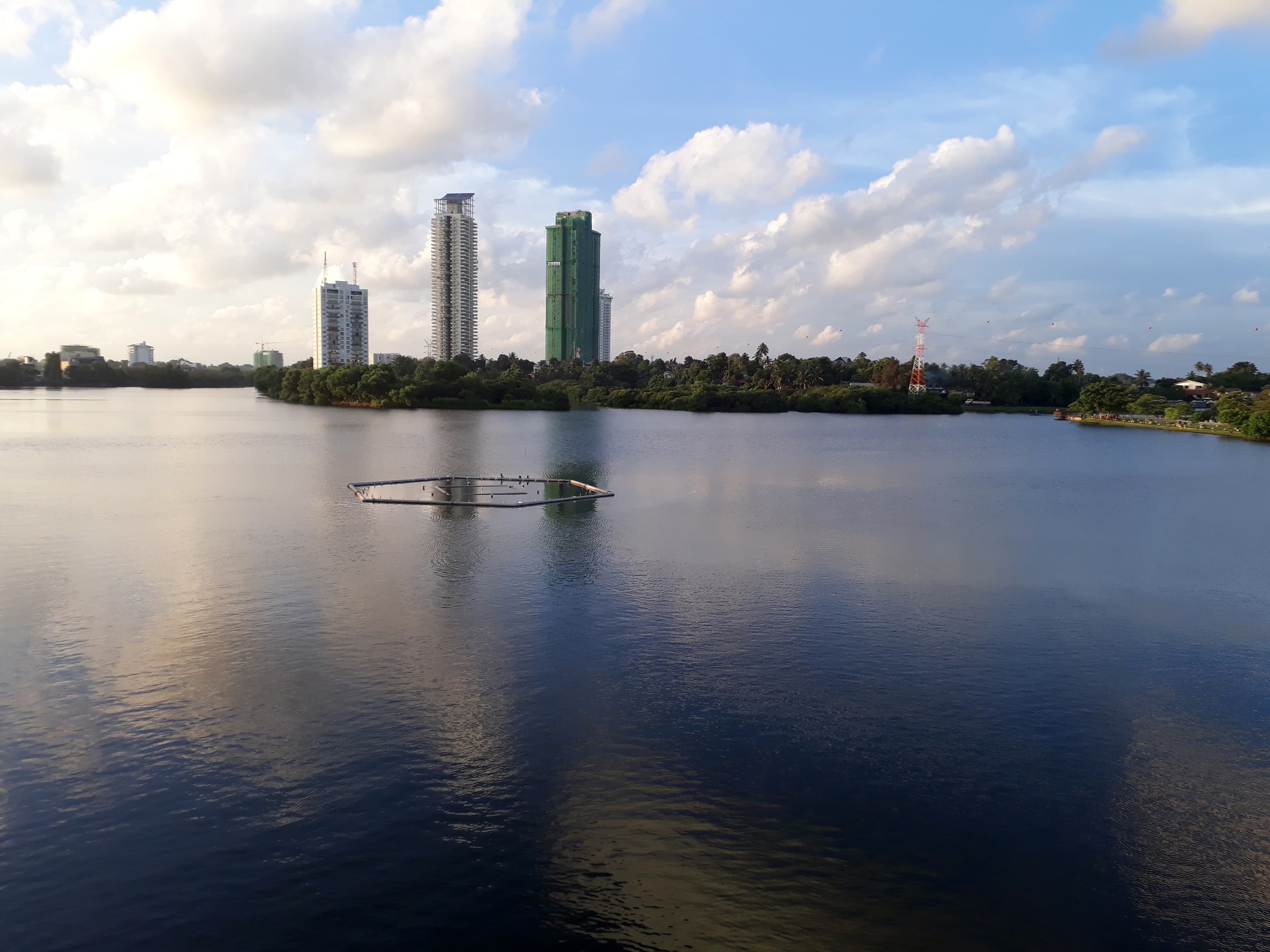 Diyawanna Lake with the towers of Sri Jayawardenepura Kotte behind